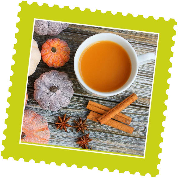 A warm cup of tea surrounded by colorful mini pumpkins and cinnamon sticks on a rustic wooden surface, evoking autumn vibes.