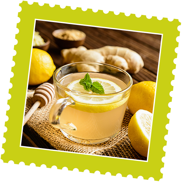 A glass cup of lemon ginger tea garnished with lemon and mint, surrounded by fresh lemons, ginger, and a honey dipper on a rustic table.